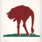 Gino Marotta "Struzzo"