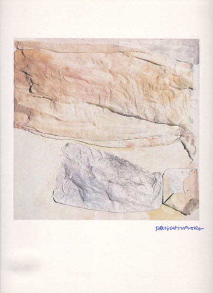 Robert Rauschemberg "Il Tatto" - immagine 2