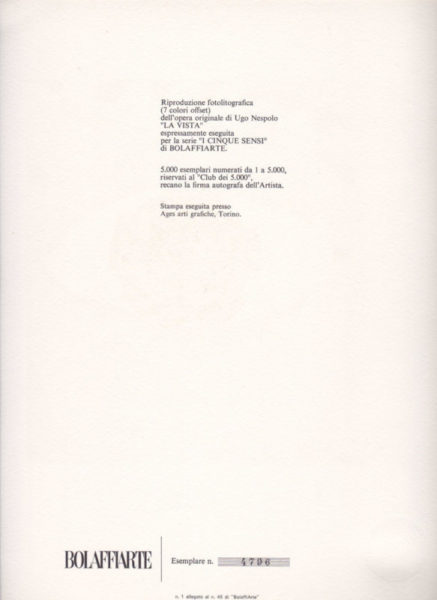 Ugo Nespolo "La Vista" - immagine 3