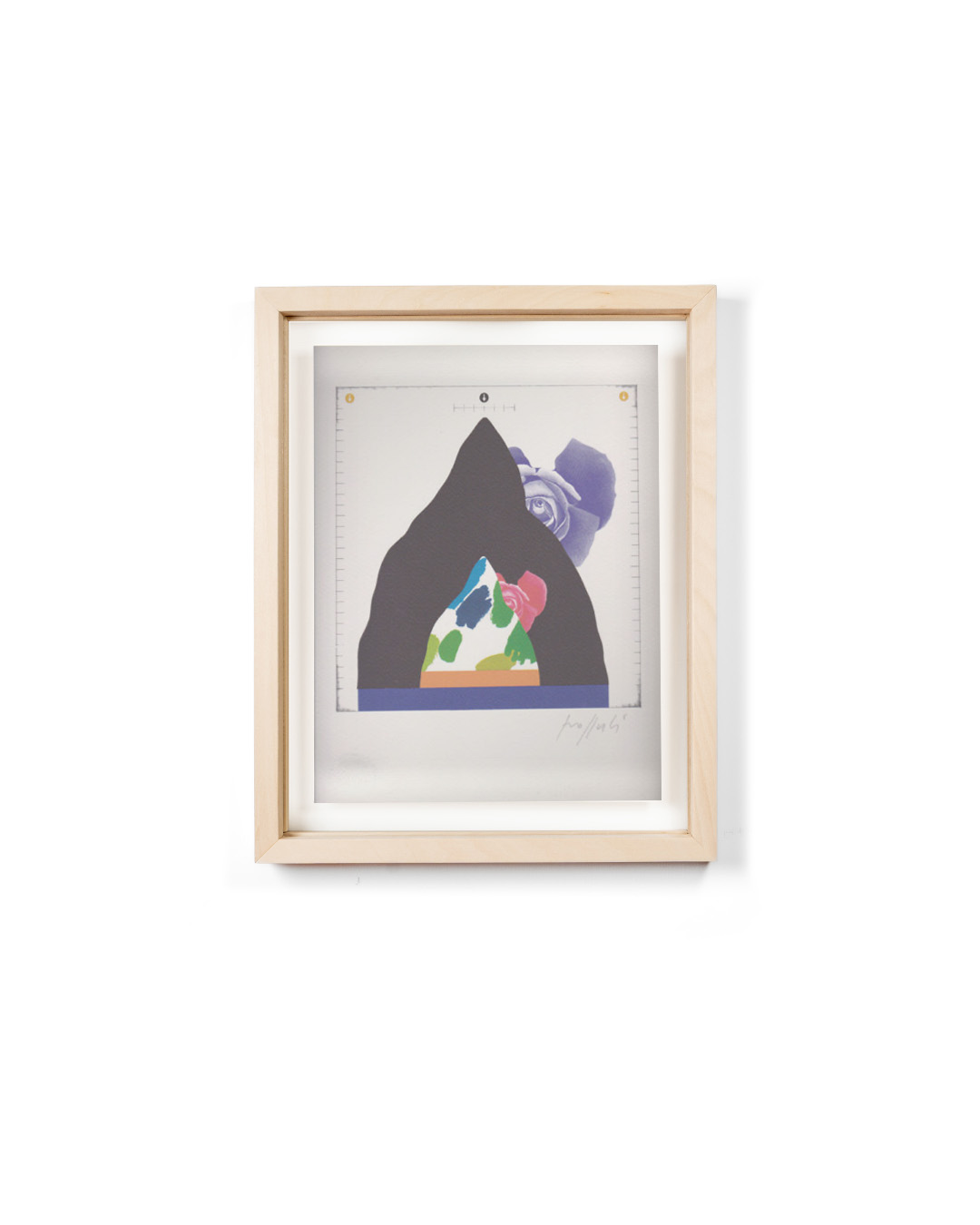 Concetto Pozzati "Come misurare le rose in montagna" - immagine 4