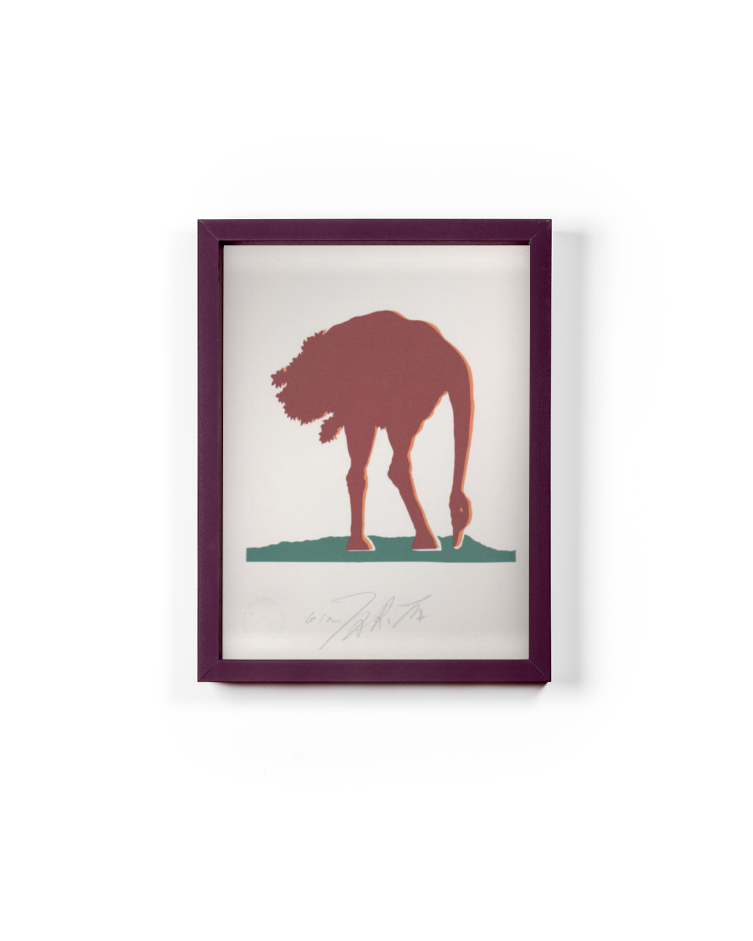 Gino Marotta "Struzzo" - immagine 5