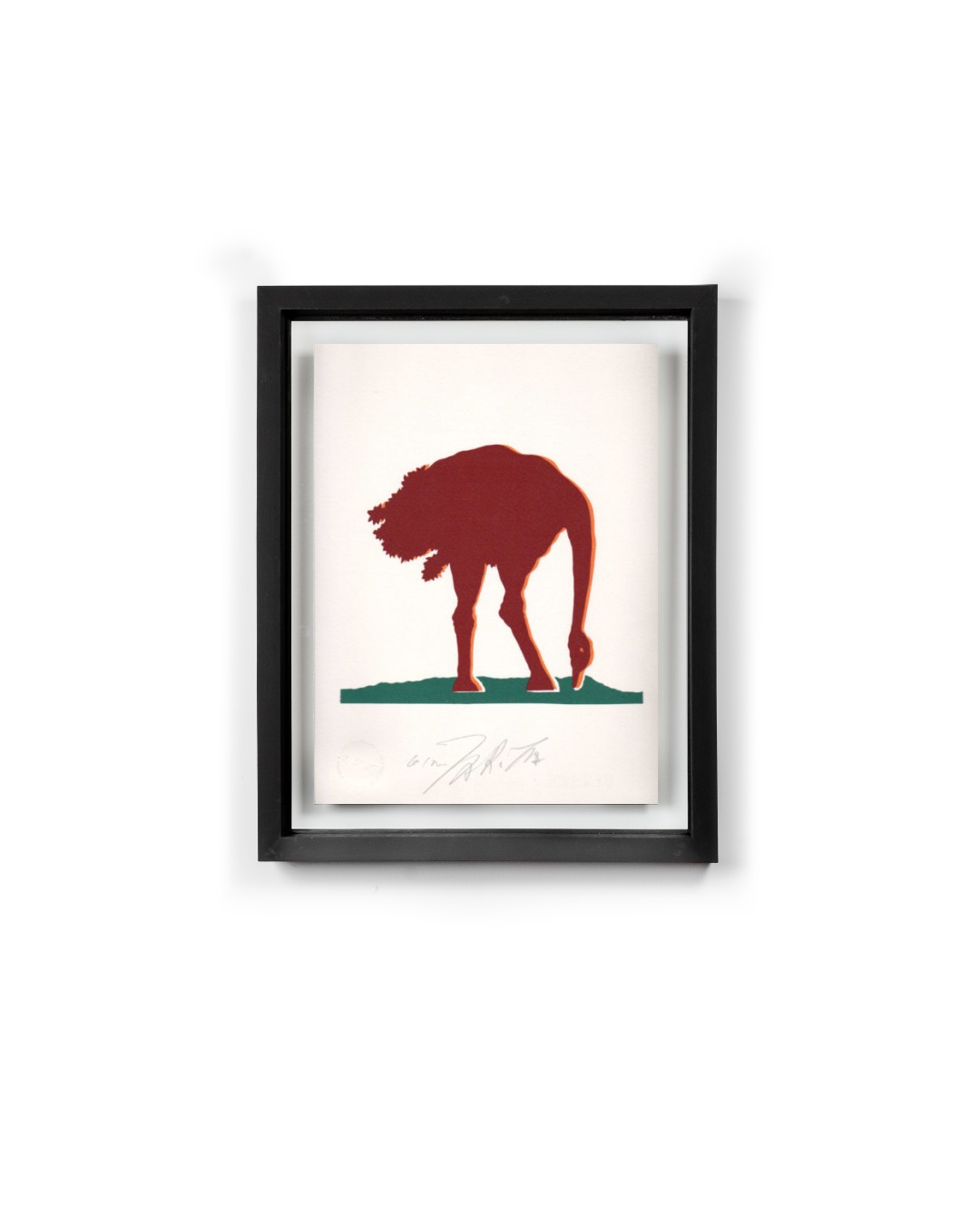 Gino Marotta "Struzzo" - immagine 7