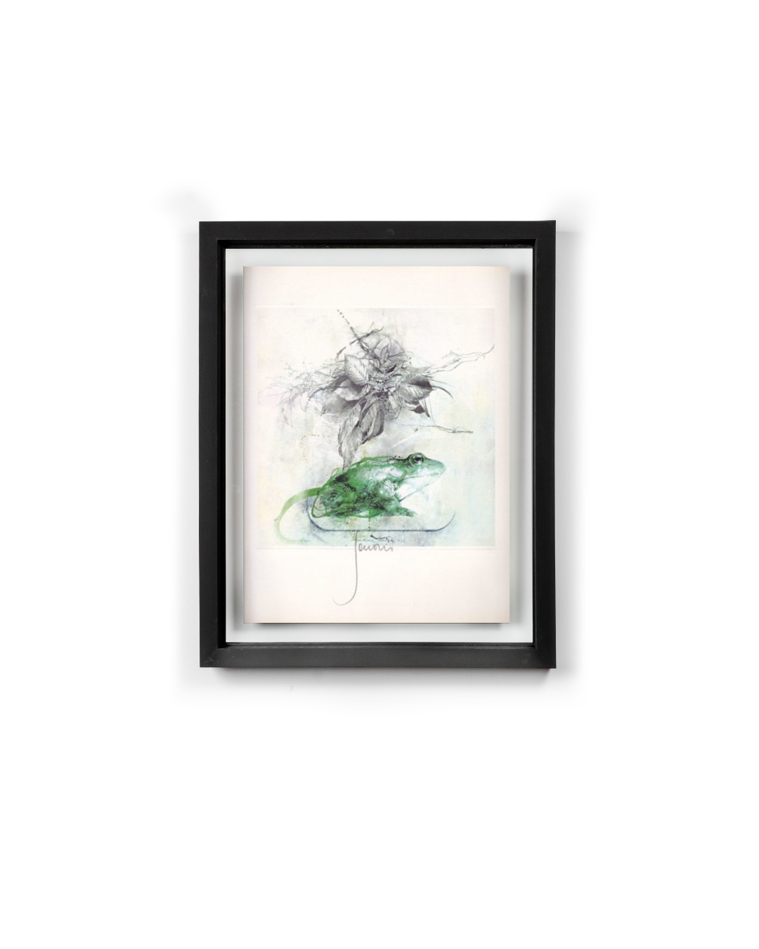 Sergio Saroni "Il principe ranocchio" - immagine 6